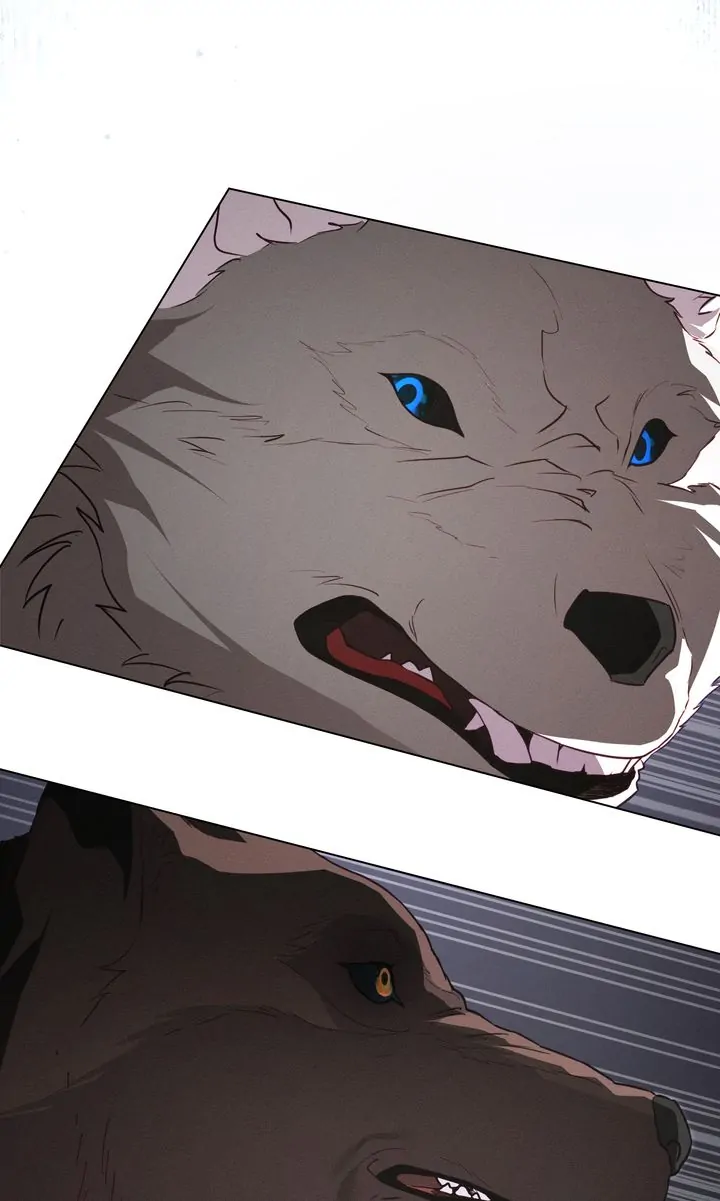 Werewolves Going Crazy over Me Chapter 55 - page 62