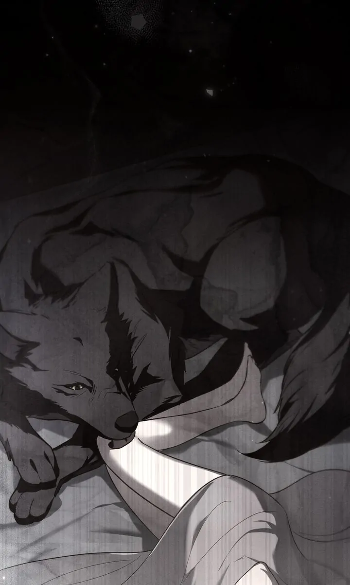 Werewolves Going Crazy over Me Chapter 55 - page 75