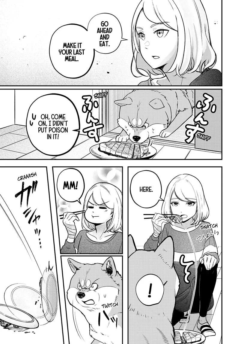 Shiba Inu Rooms Chapter 1 - page 40