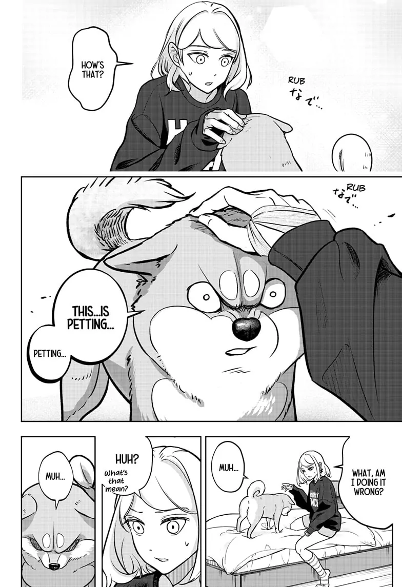 Shiba Inu Rooms Chapter 2 - page 9
