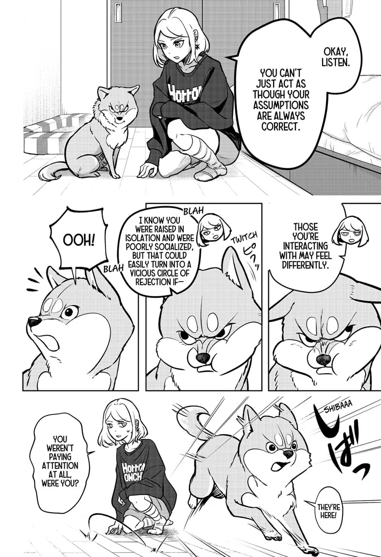 Shiba Inu Rooms Chapter 2 - page 15