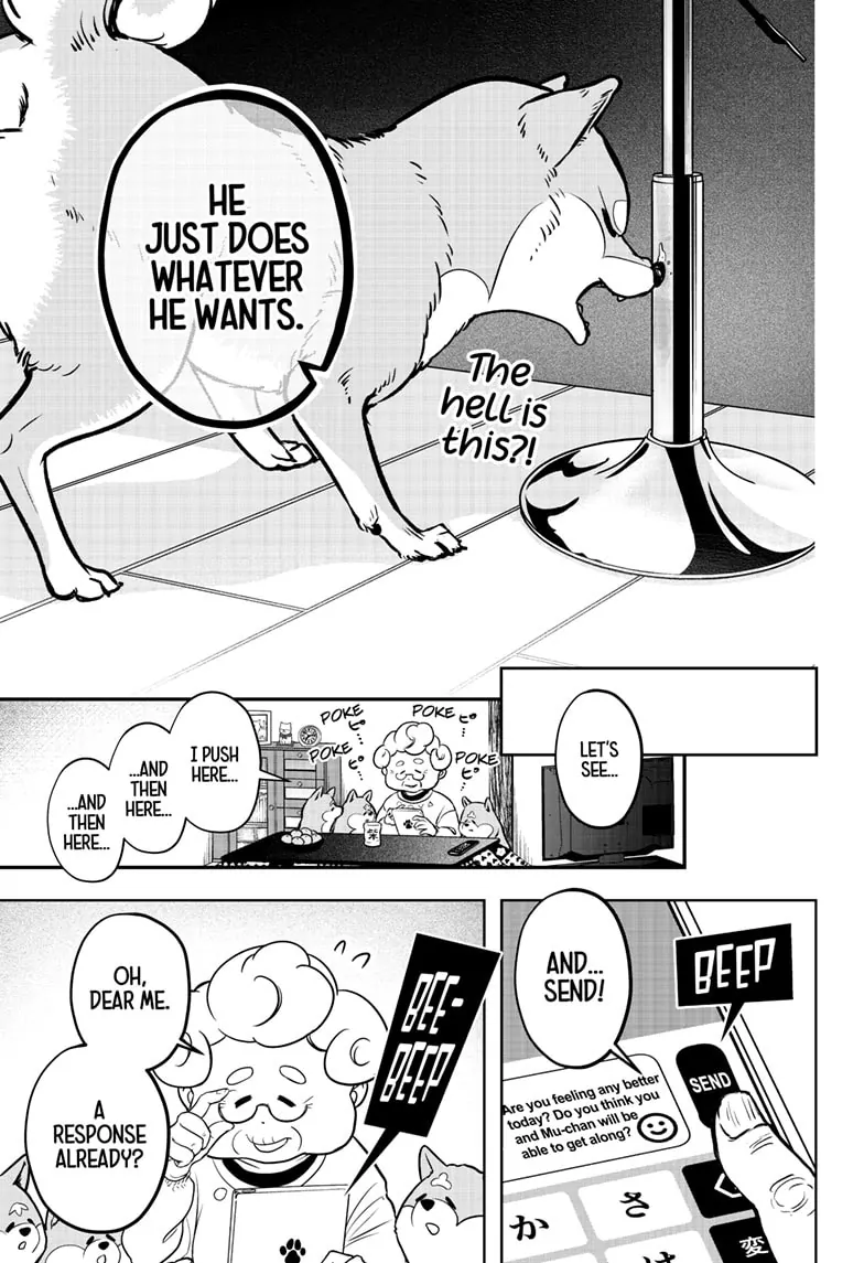 Shiba Inu Rooms Chapter 2 - page 22
