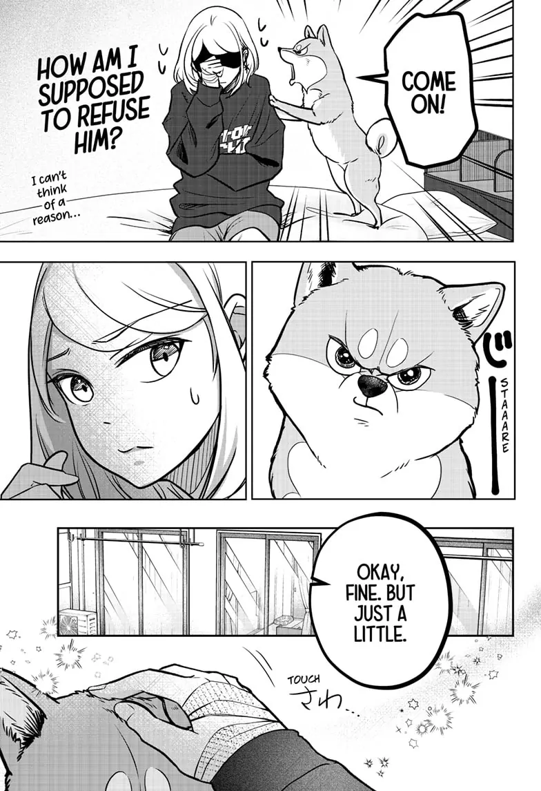 Shiba Inu Rooms Chapter 2 - page 8