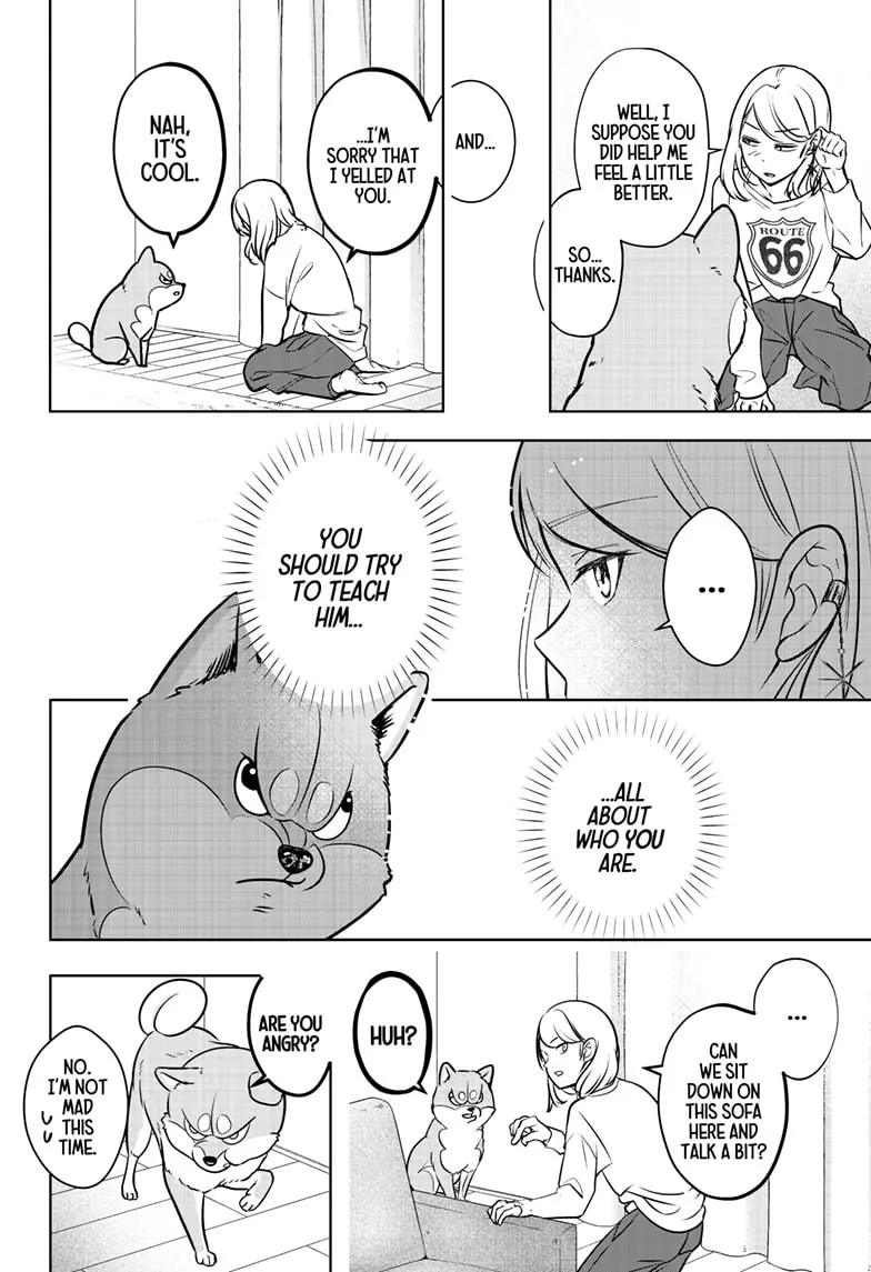 Shiba Inu Rooms Chapter 3 - page 29