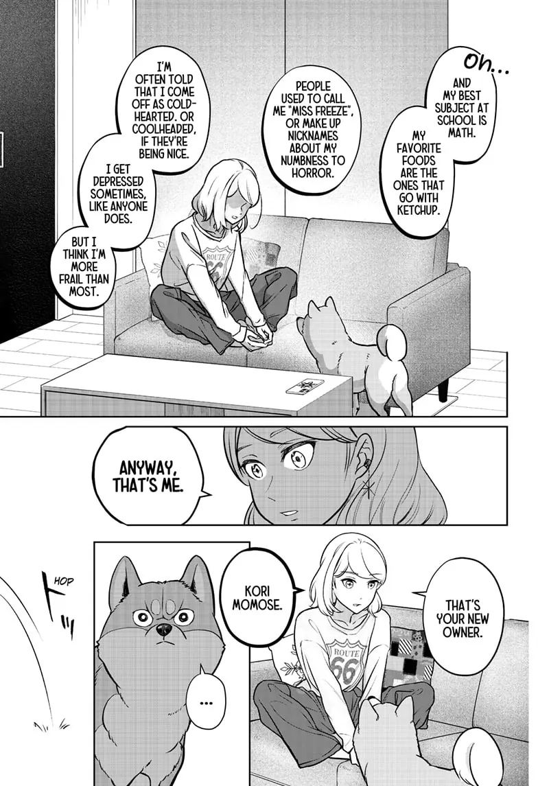 Shiba Inu Rooms Chapter 3 - page 32