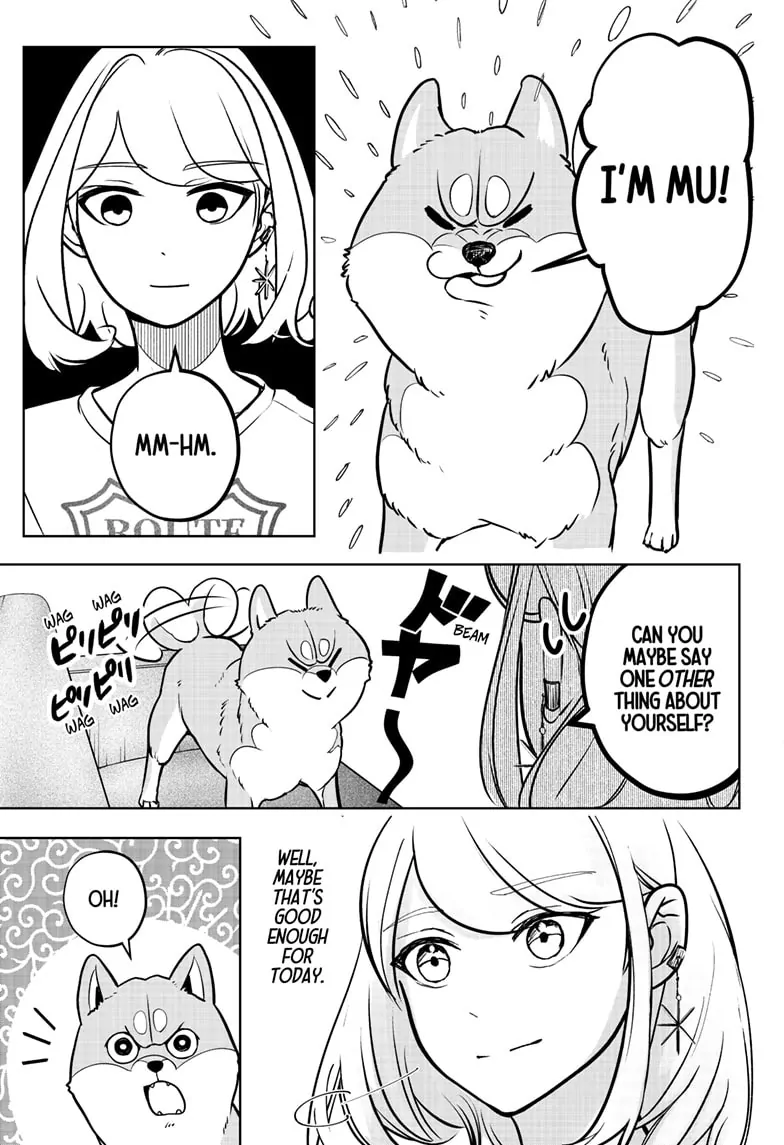 Shiba Inu Rooms Chapter 3 - page 34