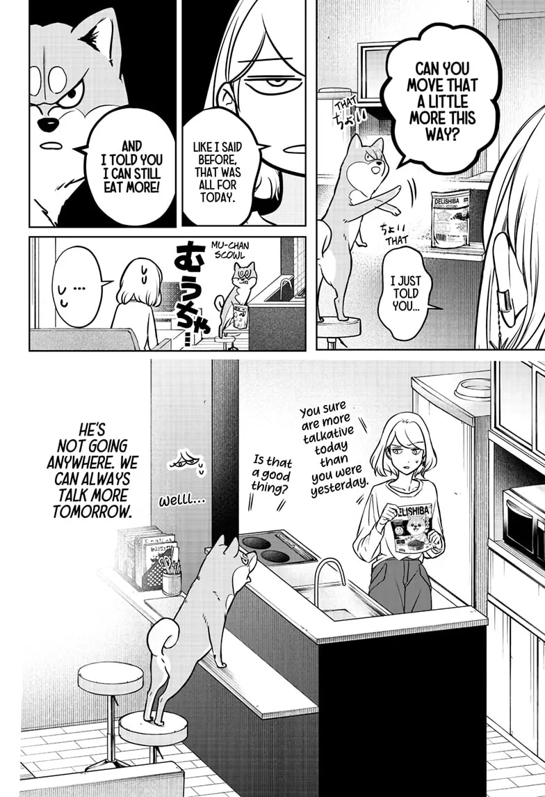 Shiba Inu Rooms Chapter 3 - page 35