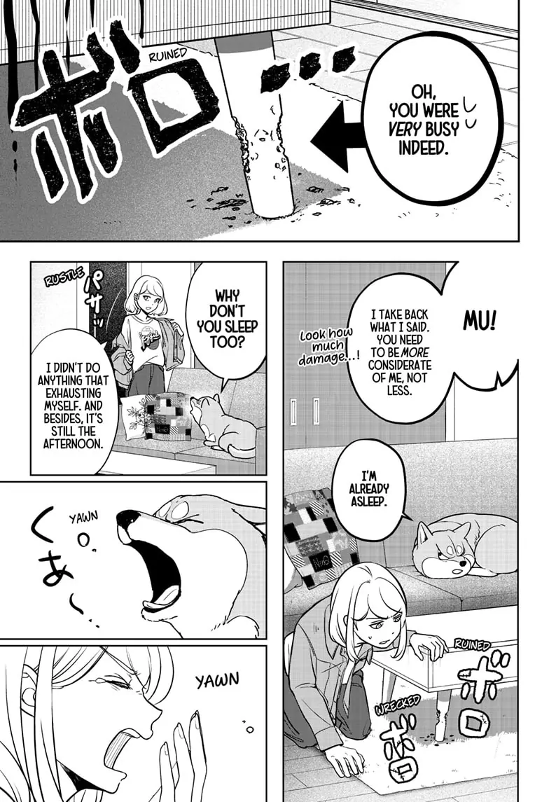 Shiba Inu Rooms Chapter 4 - page 17