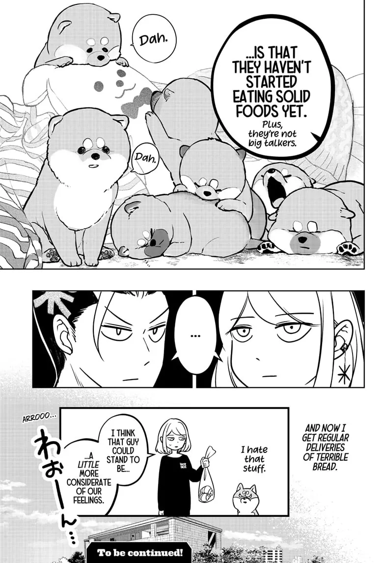 Shiba Inu Rooms Chapter 4 - page 29