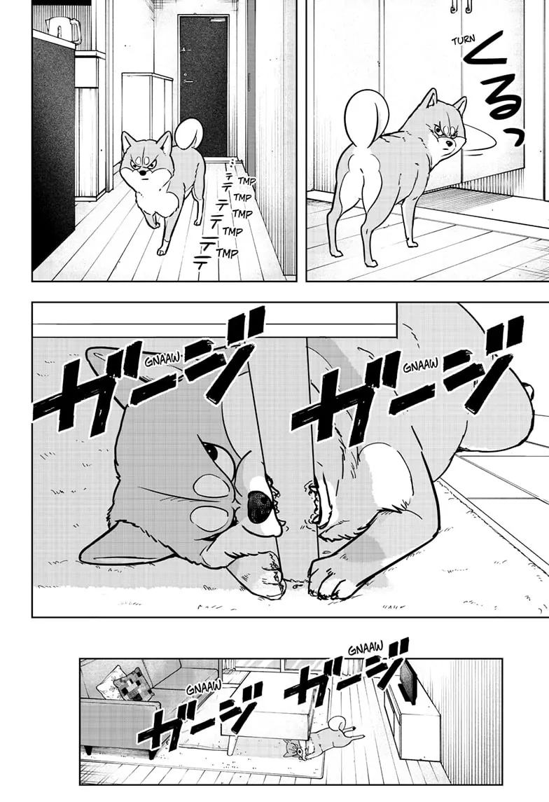 Shiba Inu Rooms Chapter 4 - page 4
