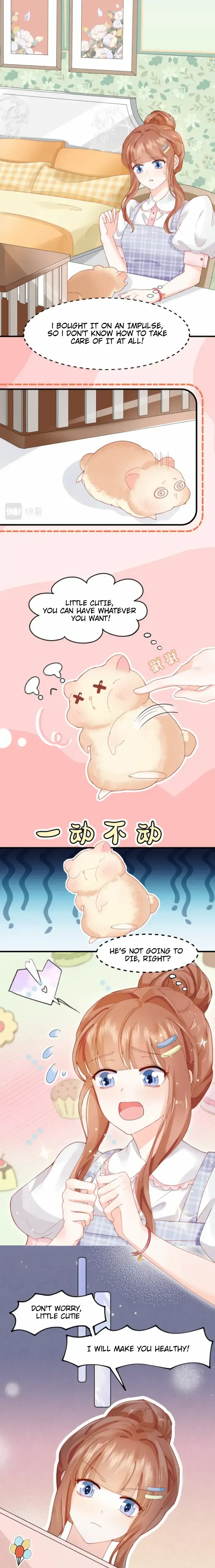Golden Hamster’s Love Collection chapter 1 - page 3