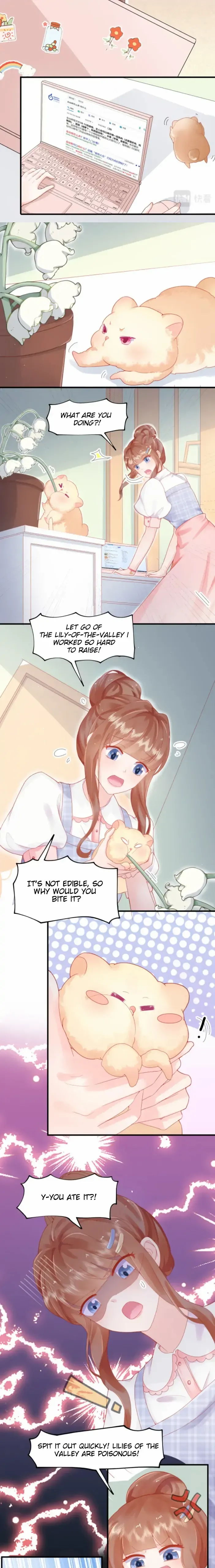Golden Hamster’s Love Collection chapter 1 - page 4