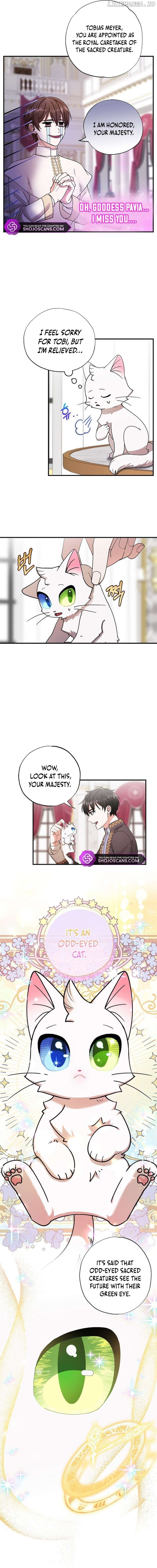 I Became the Emperor’s Cat Chapter 1 - page 11