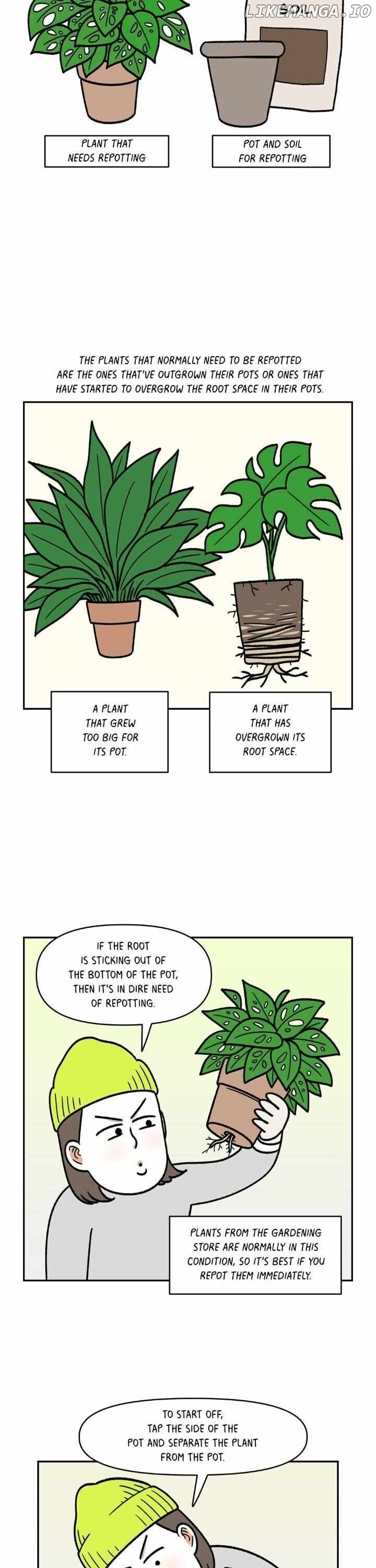 Extreme Gardener chapter 16 - page 2