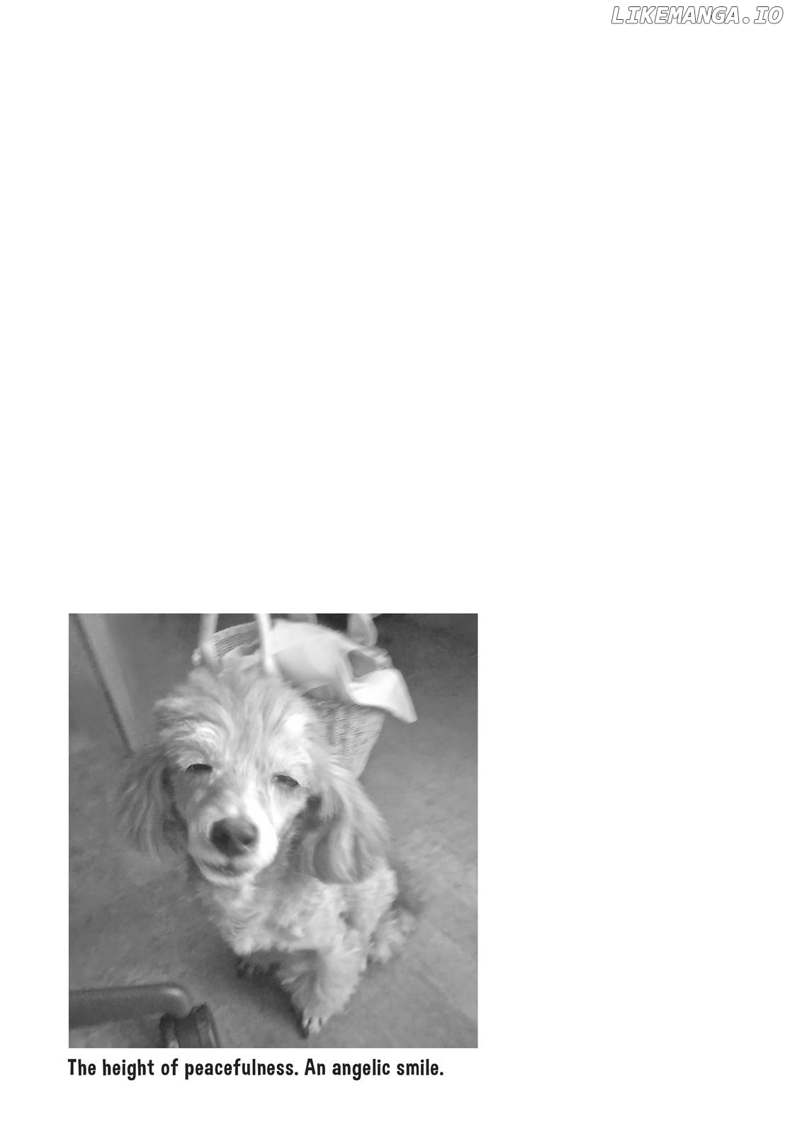 With a Dog AND a Cat, Every Day Is Fun Chapter 2 - page 72