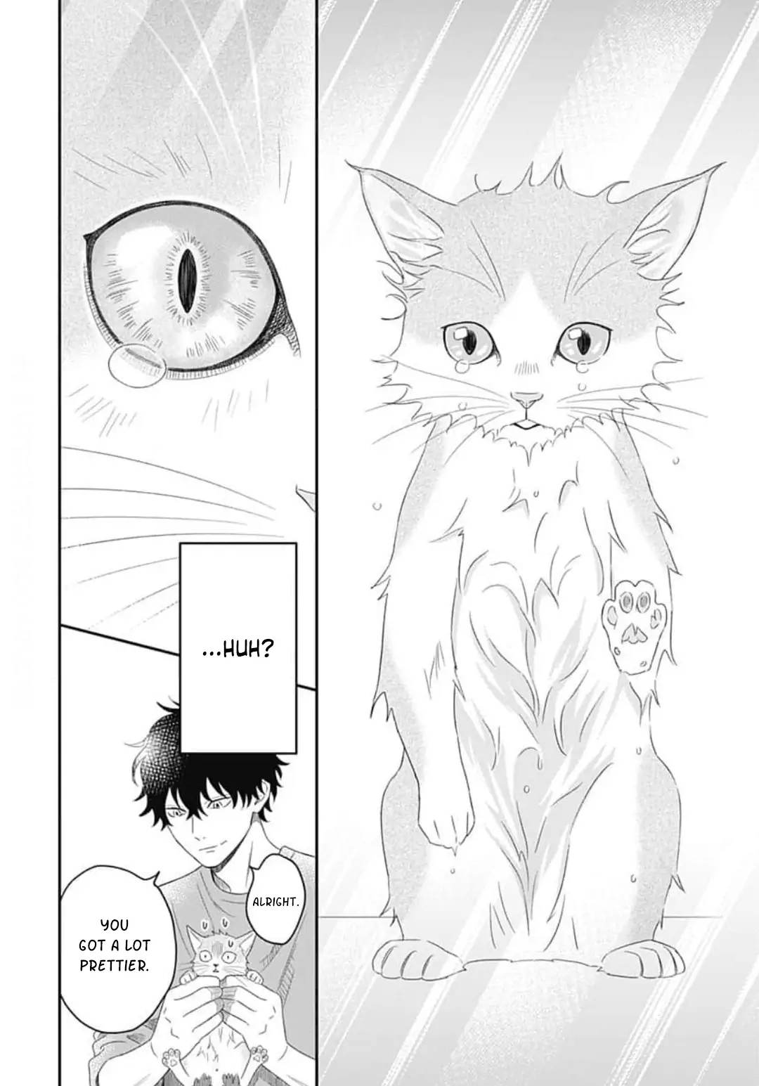 Kanzen Nyaru Shiiku chapter 1 - page 26