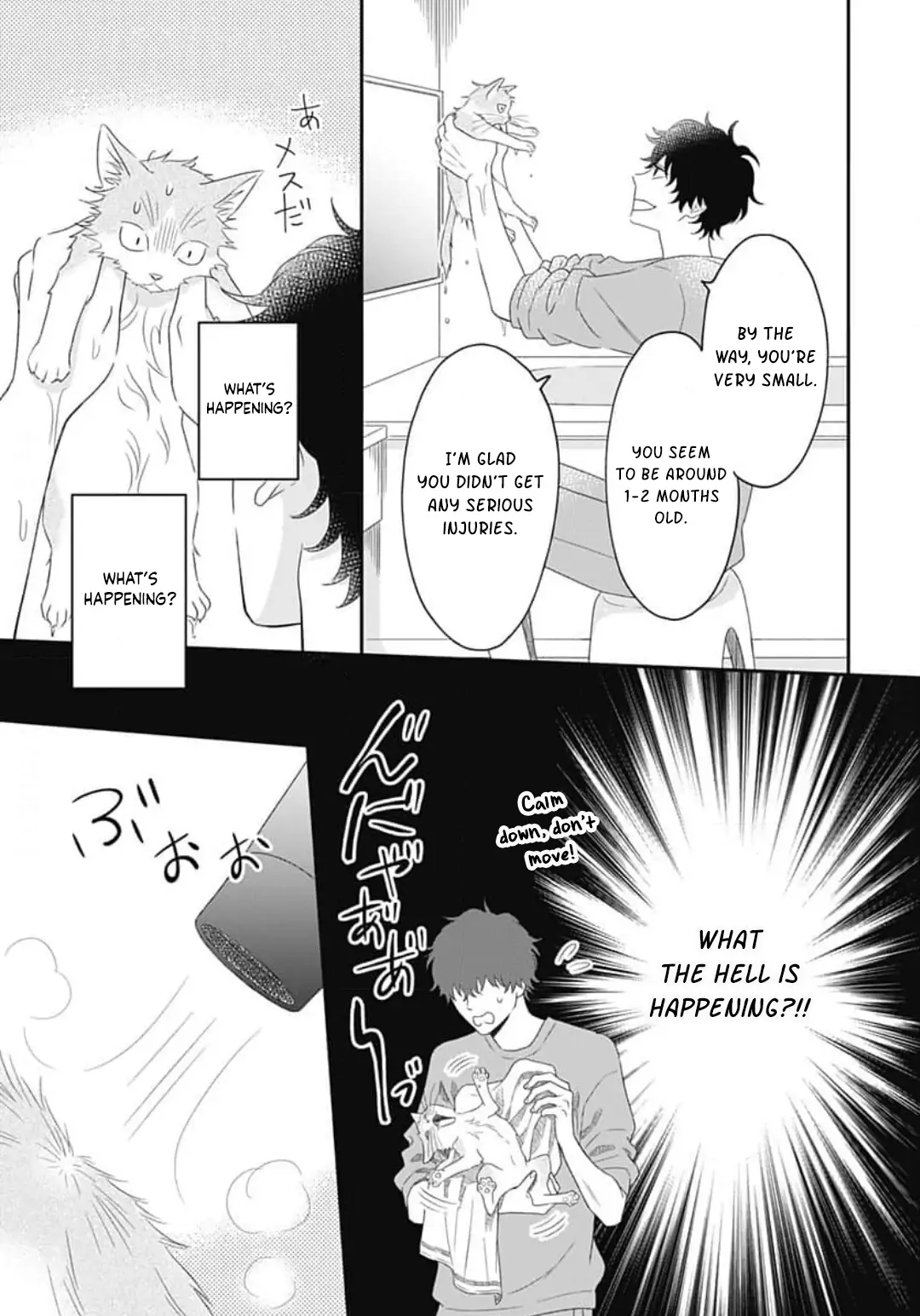 Kanzen Nyaru Shiiku chapter 1 - page 27