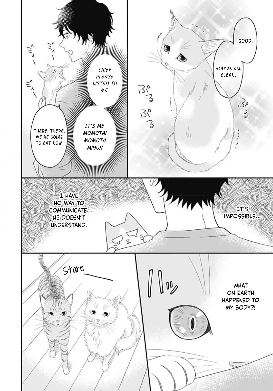 Kanzen Nyaru Shiiku chapter 1 - page 28