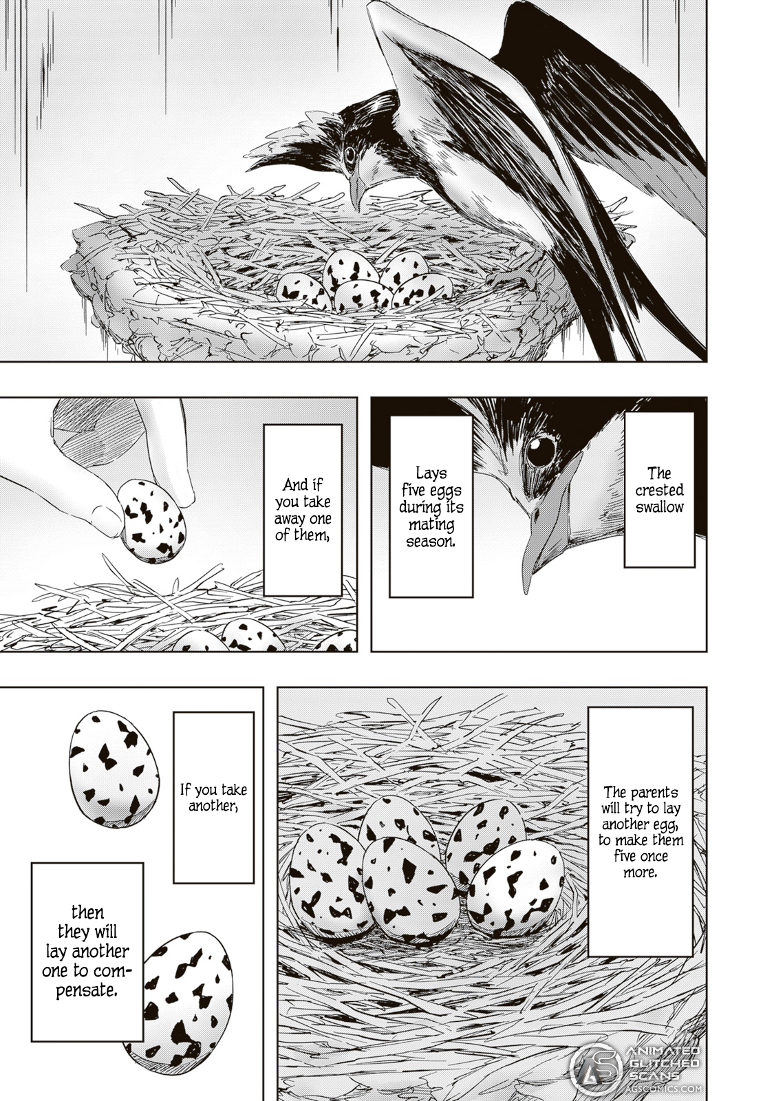 The Crown of Rutile Quartz -Slaine, The King, and the Heroic Tale- Chapter 1 - page 5