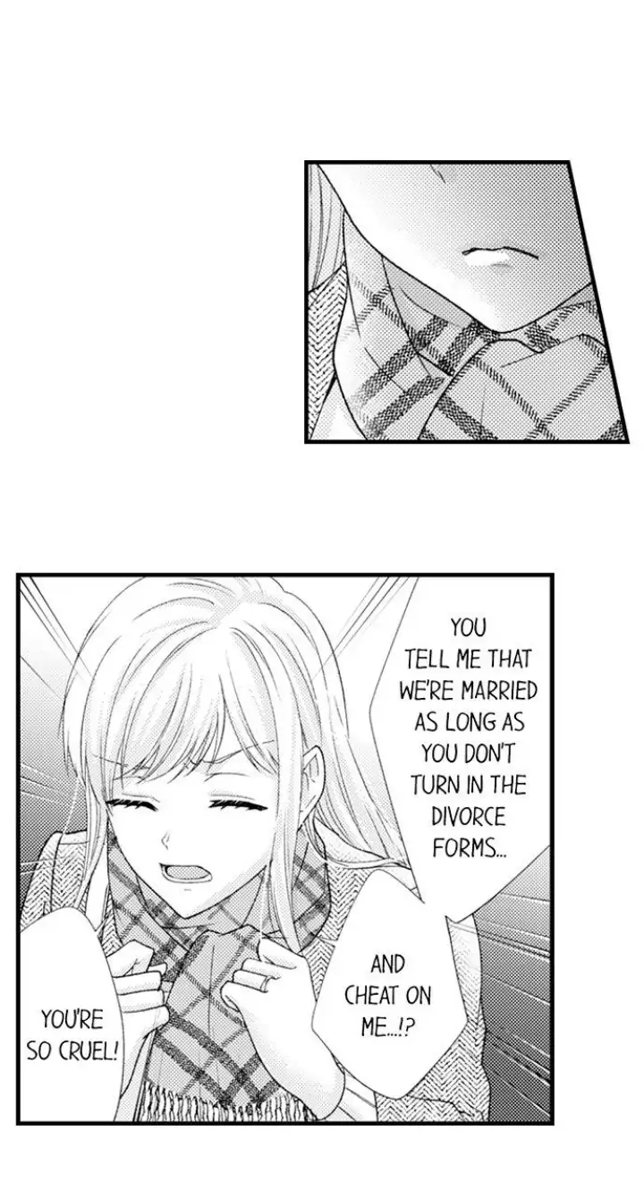 Kind and Sadistic ~ My Husband's Special Brand of Love ~ Chapter 26 - page 29