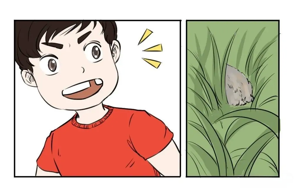 Please Let Me Grow Up In Peace Chapter 19 - page 23