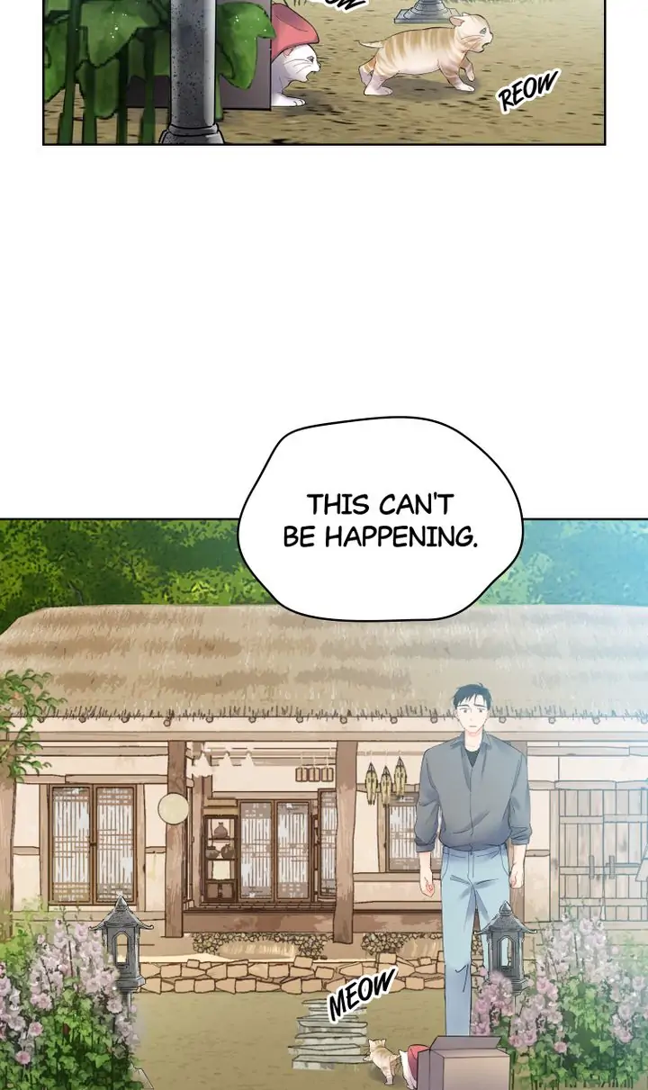 The House In The Woods Chapter 2 - page 45