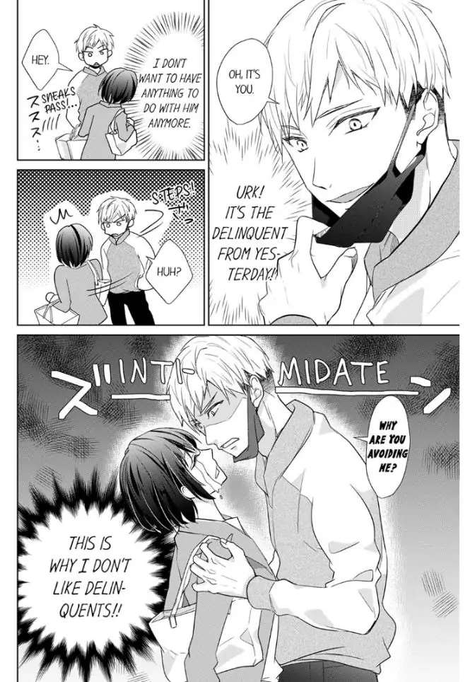 Haraippai Tsuite Yaru - Junjou Yankee wa, Kuu mo H mo Yoku no Mama!? Chapter 2 - page 6