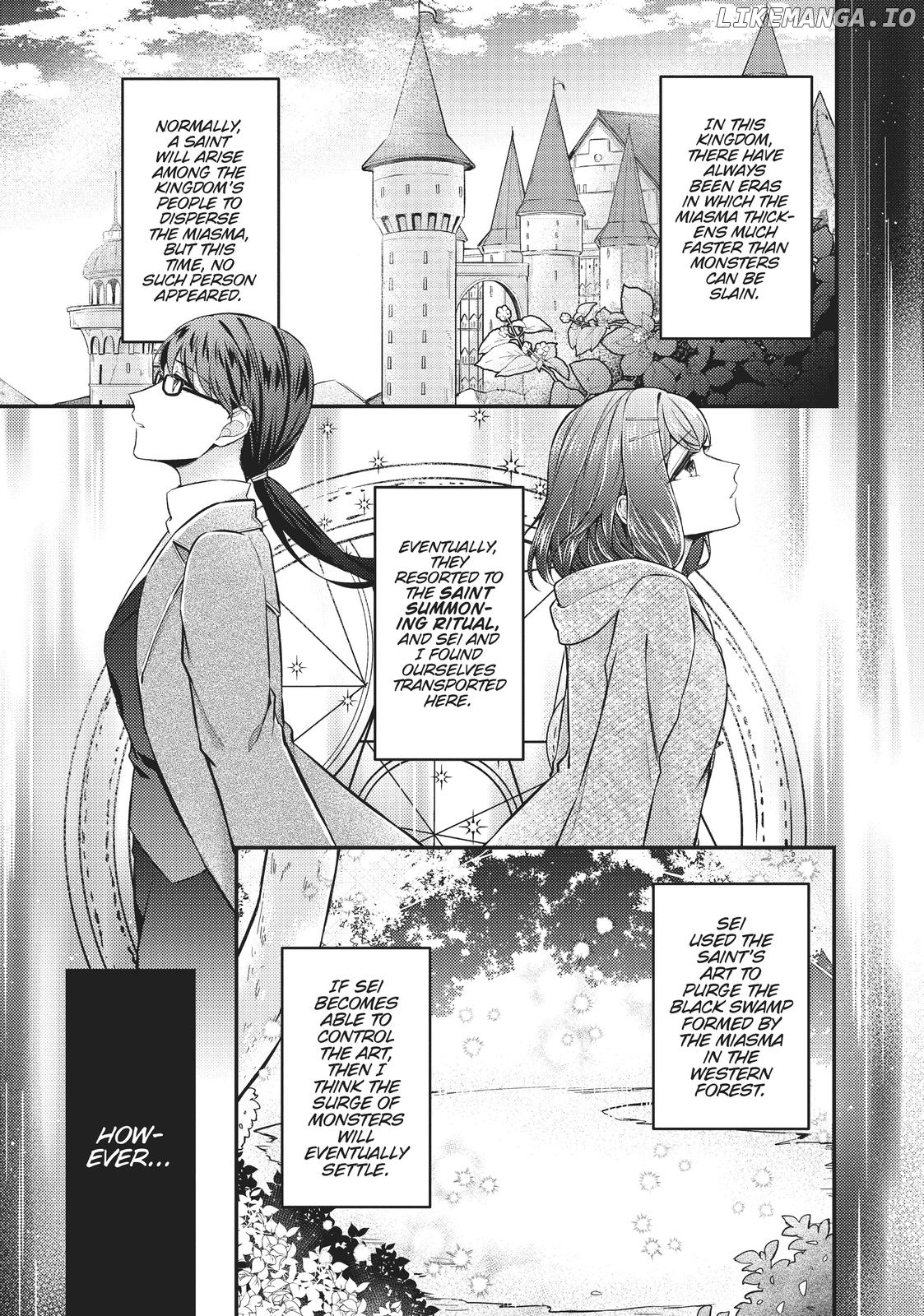 Seijo no Maryoku wa Bannou desu ~Mouhitori no Seijo~ Chapter 8 - page 3