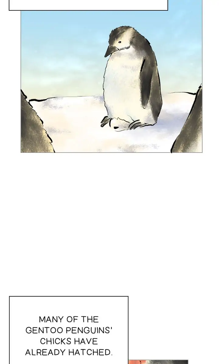 The Summer of Penguins Chapter 1 - page 72