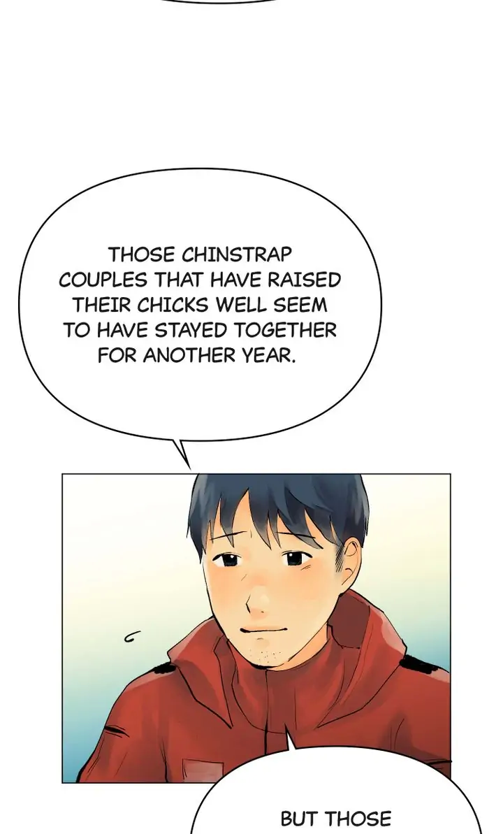 The Summer of Penguins Chapter 11 - page 41