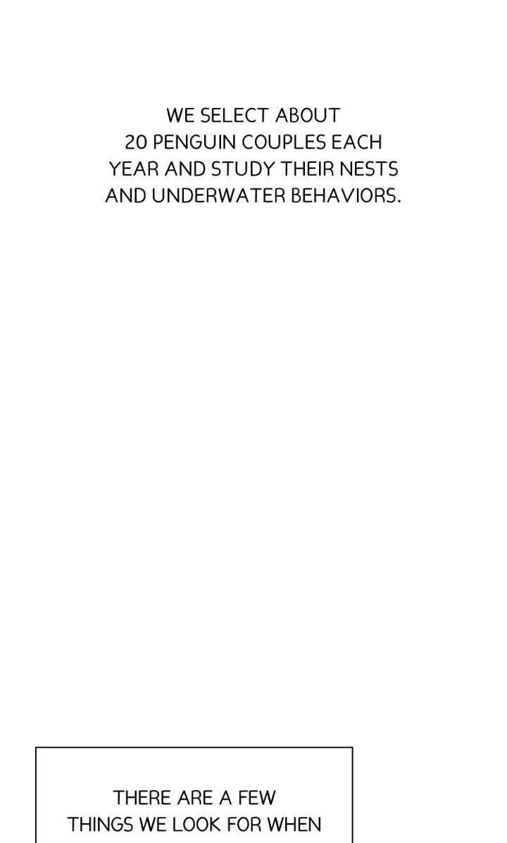 The Summer of Penguins Chapter 2 - page 53