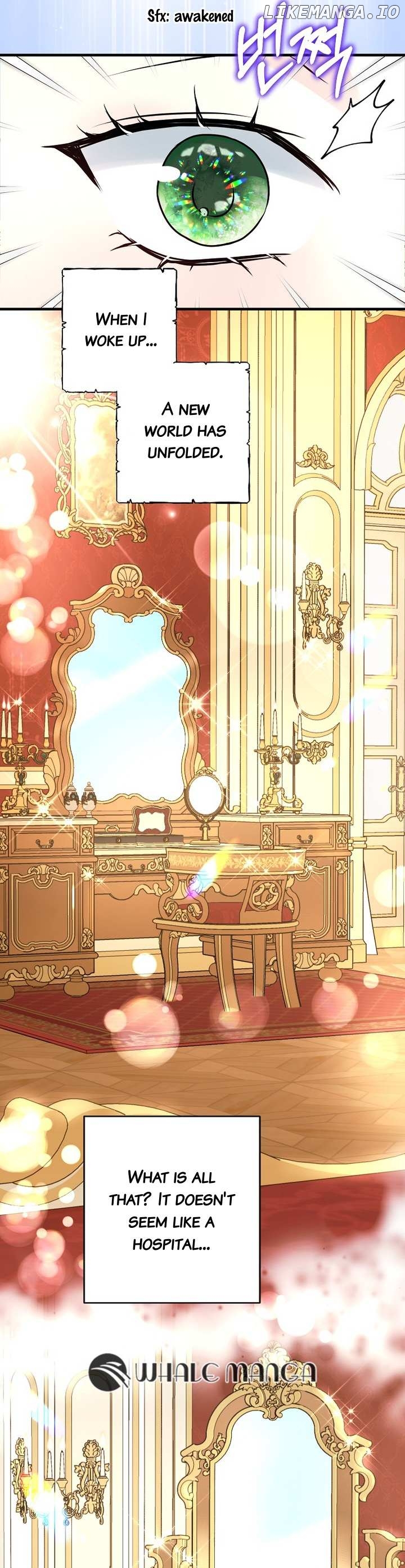 The Time-Limited Black Screen Supports My Breakup Chapter 2 - page 15