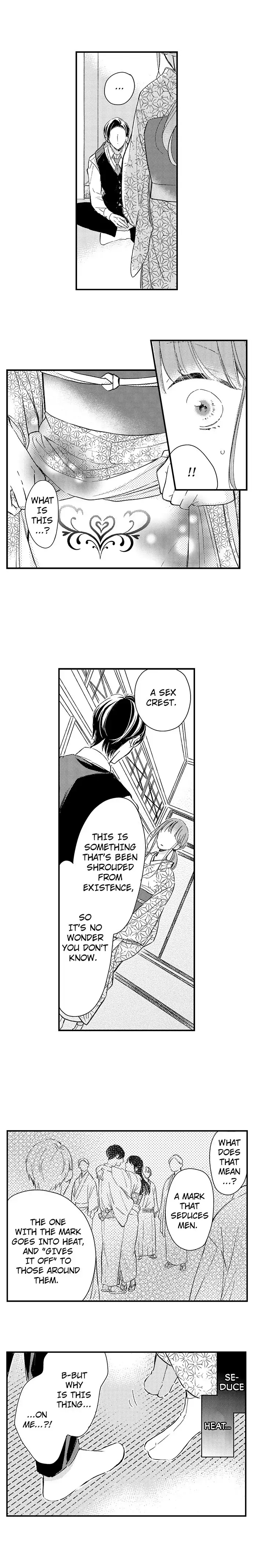 Midarana Netsu, Danna-sama no Kuchi Dzuke de Hodokeru Shoya Chapter 2 - page 3