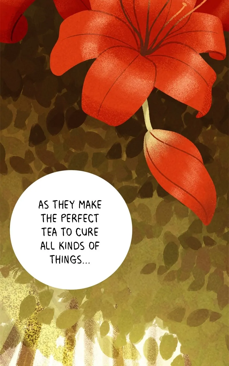 The Mushroom Girl Chapter 1 - page 44