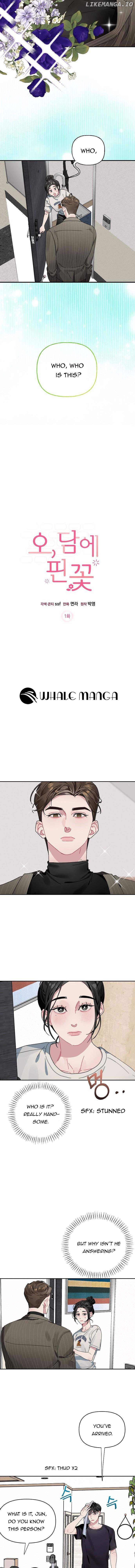 Oh, the Flower That Bloomed on the Wall Chapter 1 - page 6