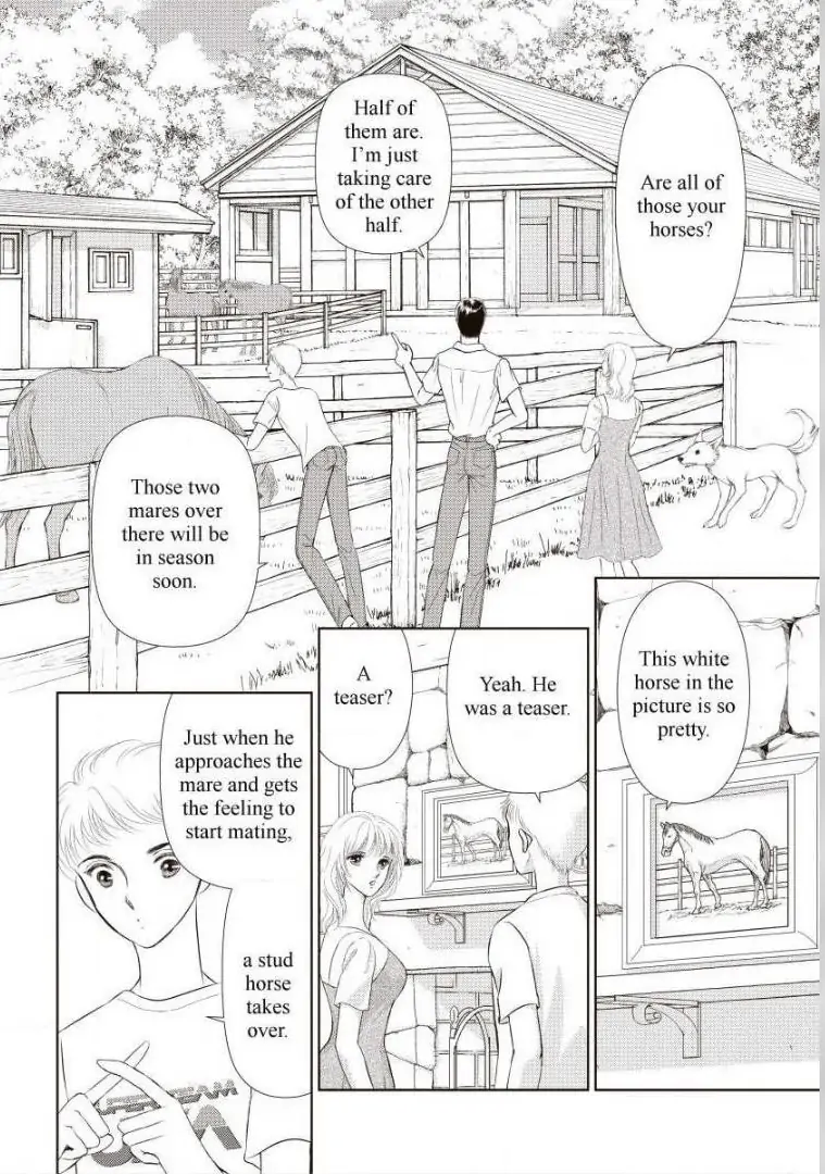 The Troublemaker Bride Chapter 6 - page 4