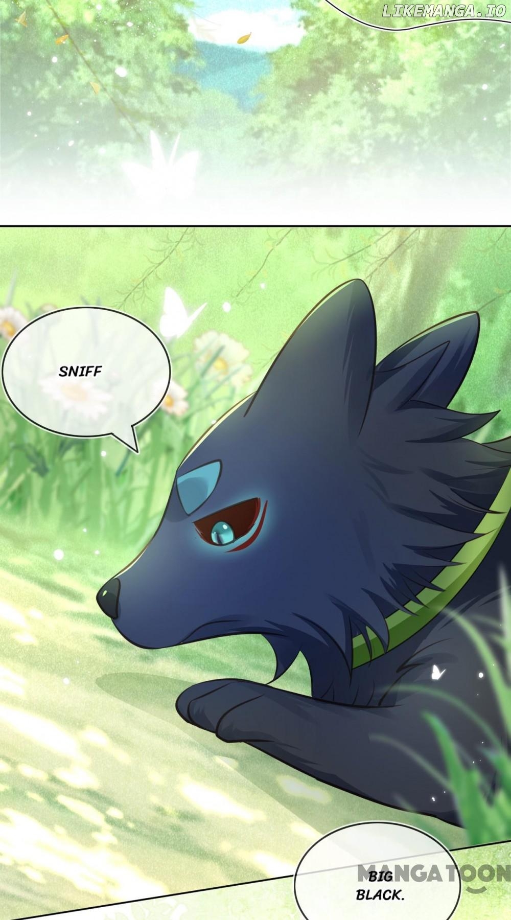 Cynical Master Raises Rabbit Spirit Chapter 21 - page 2