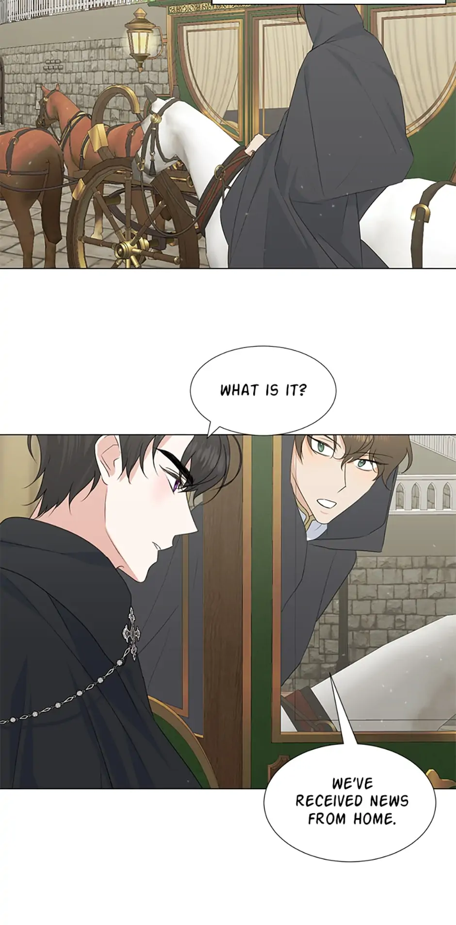 I Accidentally Tamed the Duke Chapter 33 - page 5