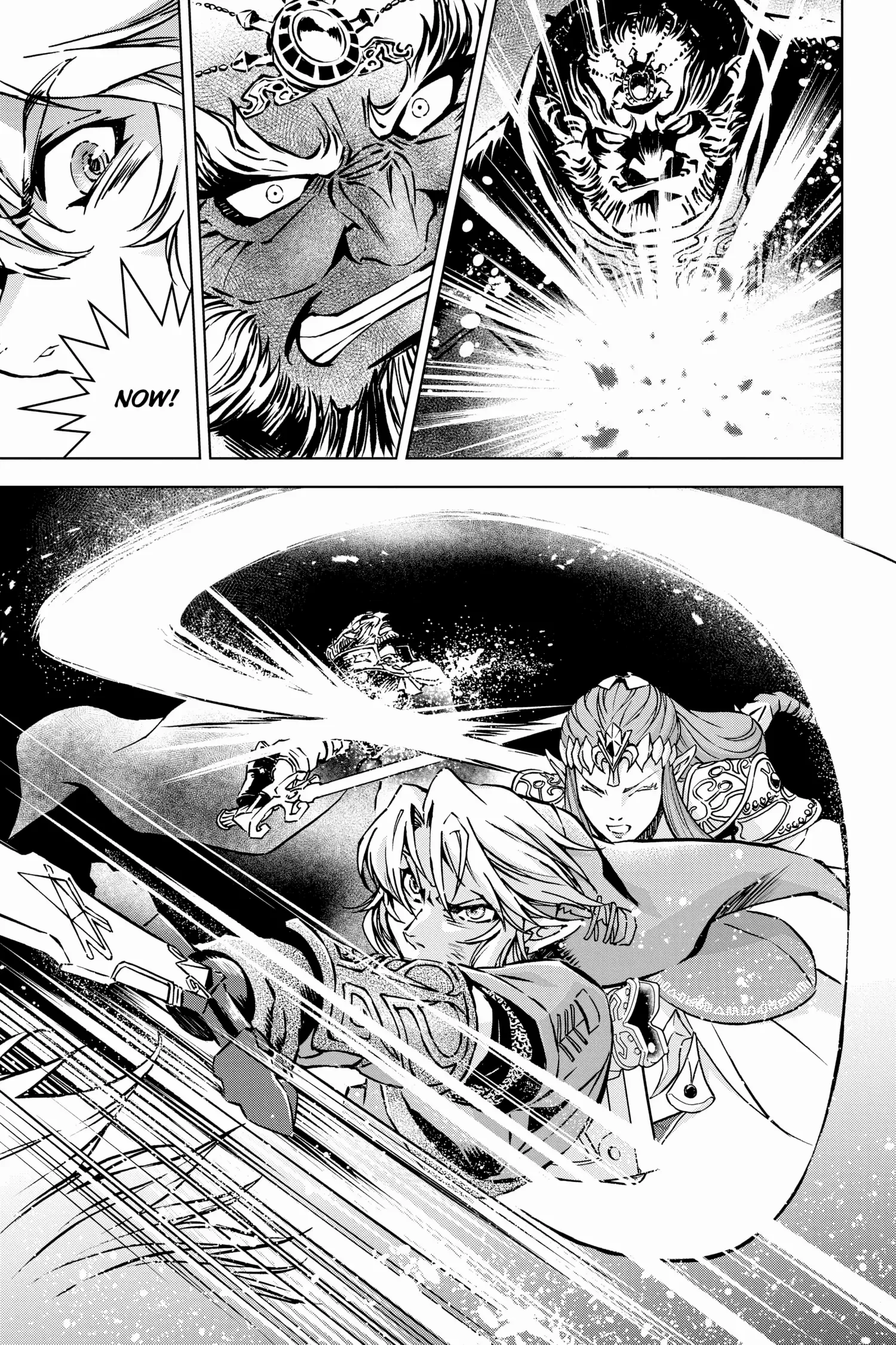Zelda No Densetsu – Twilight Princess Chapter 54 - page 26