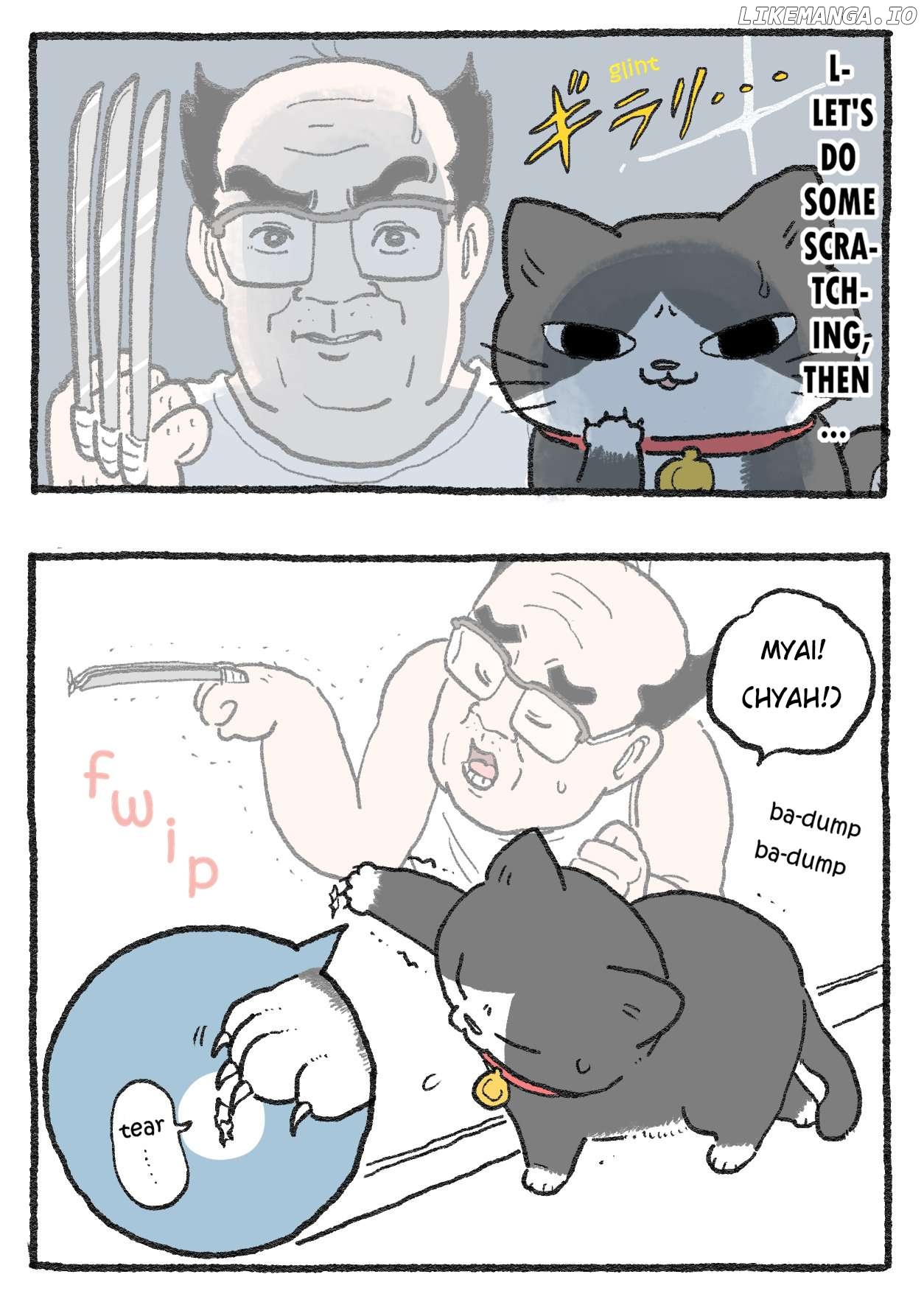 The Old Man Who Was Reincarnated As A Cat Chapter 516 - page 2