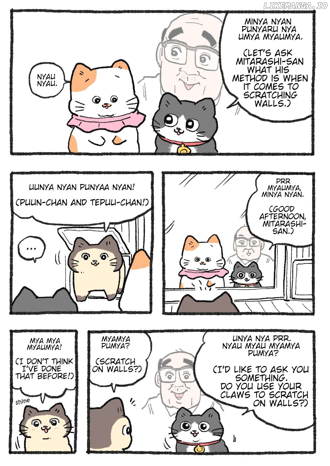 The Old Man Who Was Reincarnated As A Cat Chapter 519 - page 1
