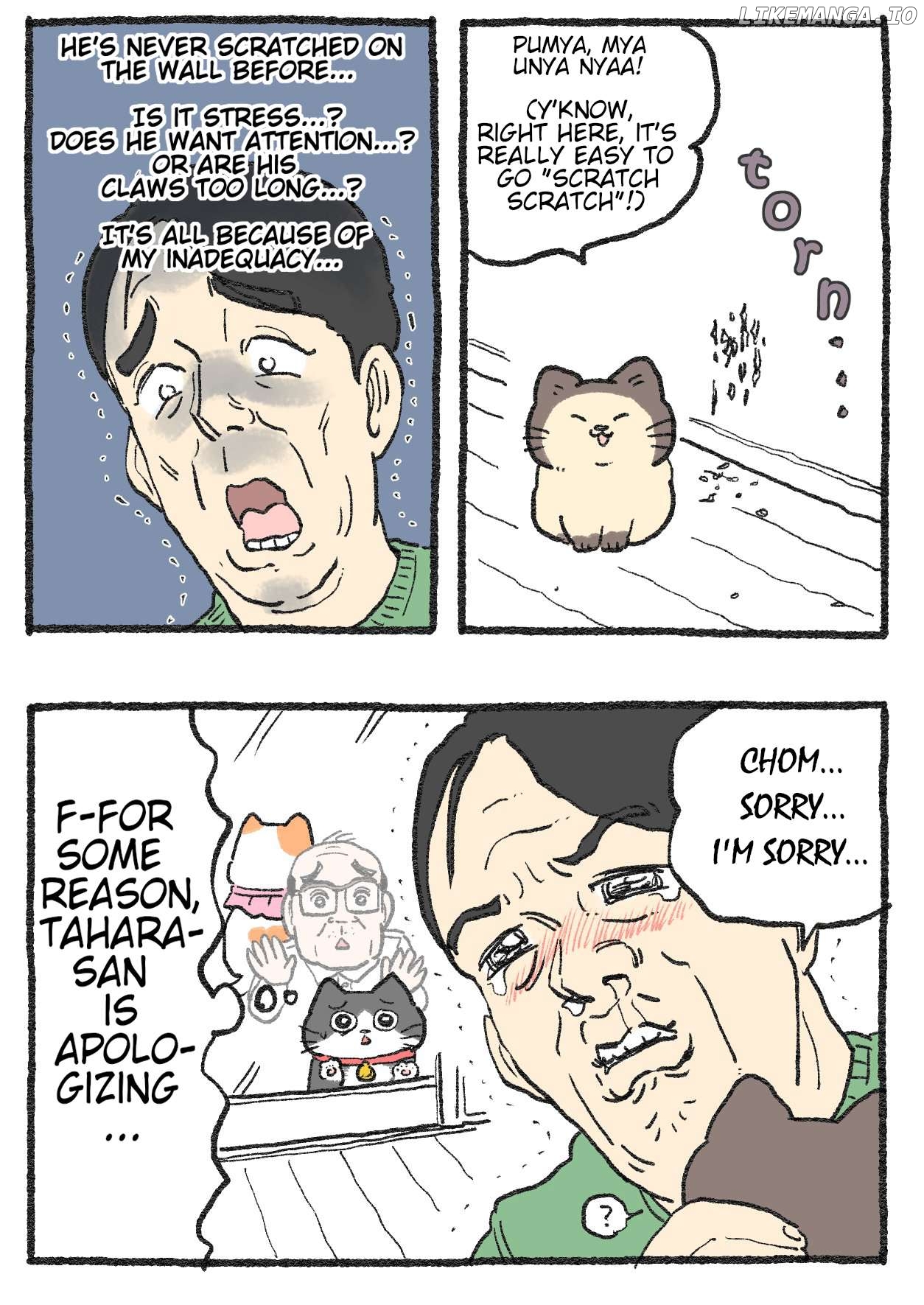 The Old Man Who Was Reincarnated As A Cat Chapter 520 - page 2