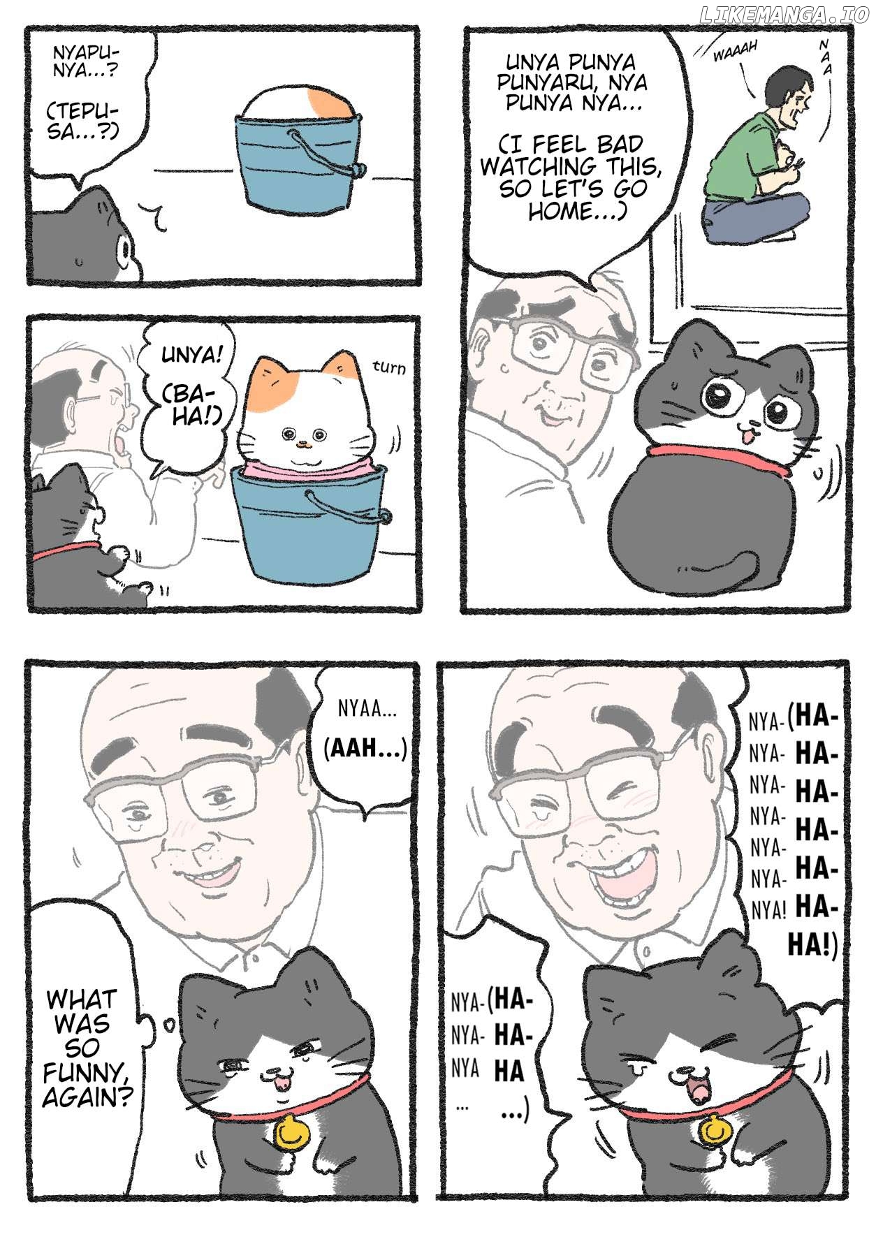 The Old Man Who Was Reincarnated As A Cat Chapter 521 - page 2