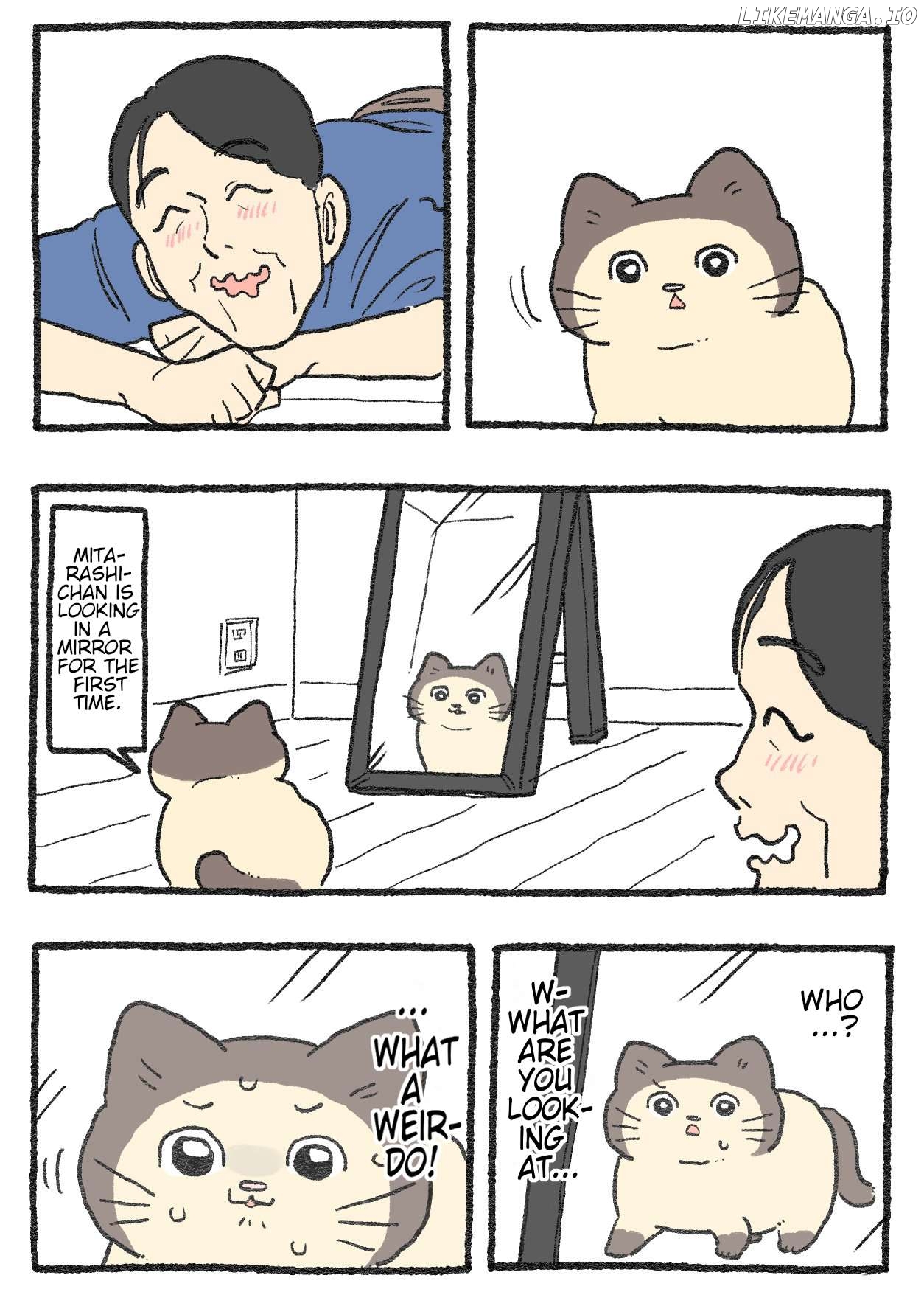 The Old Man Who Was Reincarnated As A Cat Chapter 531 - page 1