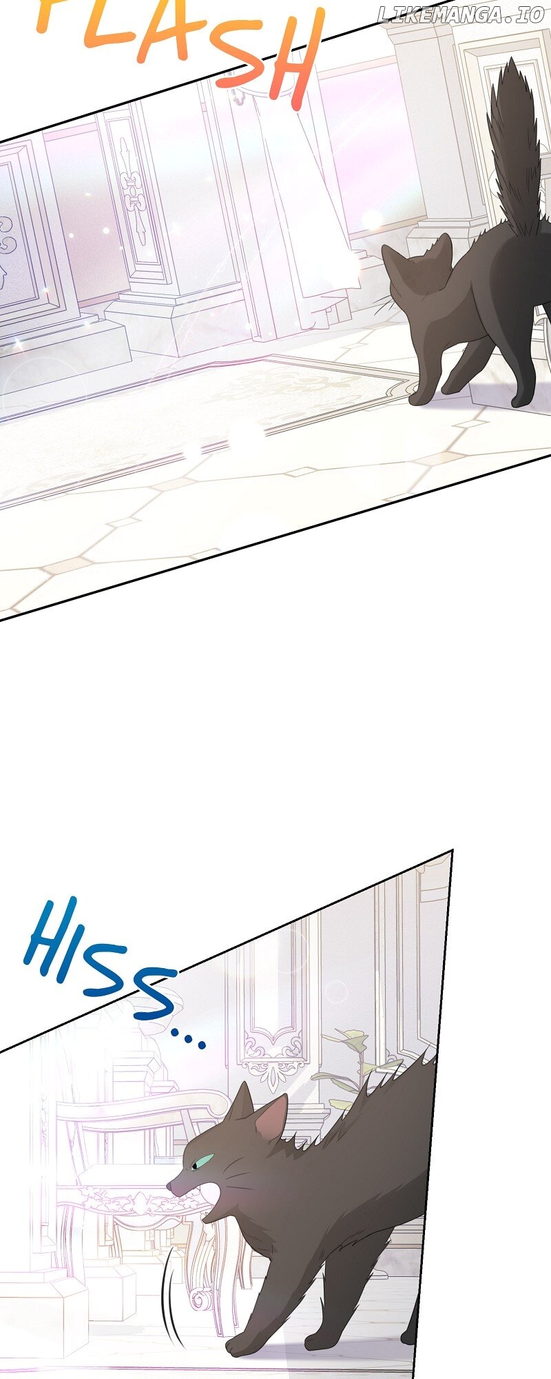 When Cinderella's Magic Fades Away Chapter 44 - page 63