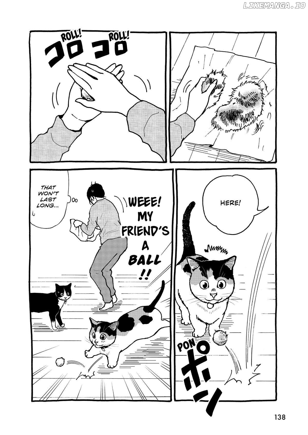A Gamer Living With A Cat Chapter 43 - page 16