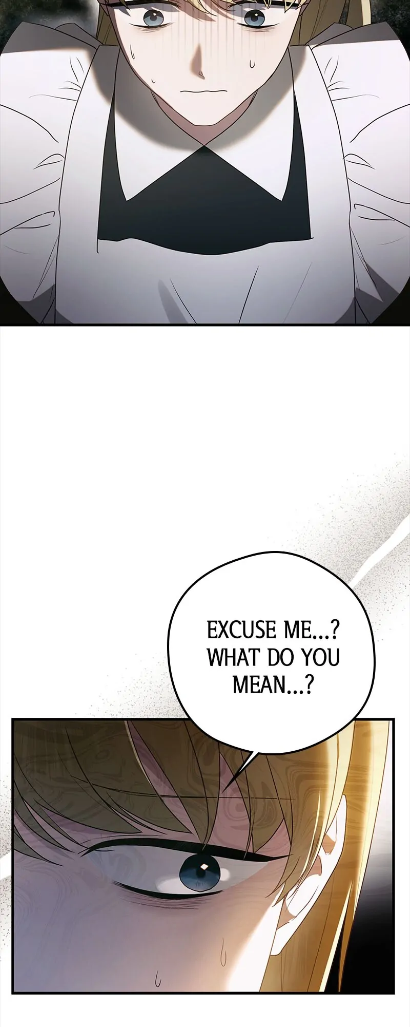A Golden Fate That Transcends Time Chapter 30 - page 16