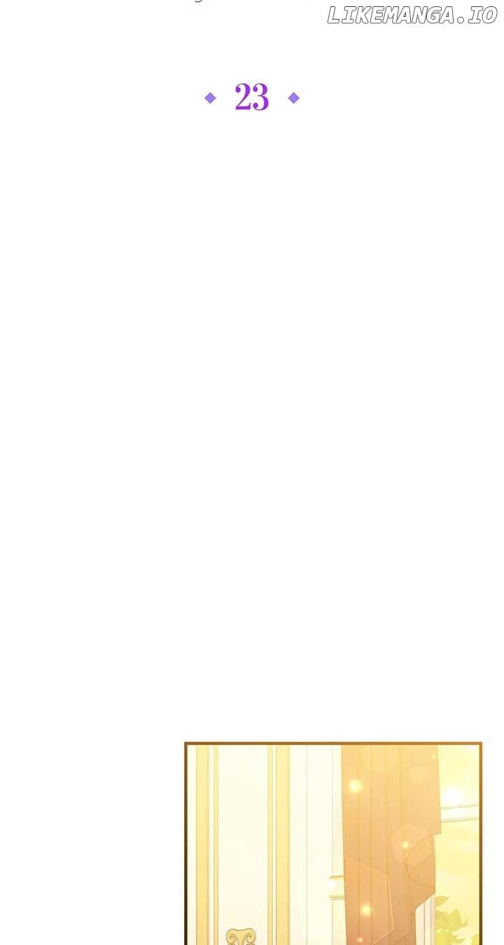 No, I Only Charmed the Princess! Chapter 23 - page 47