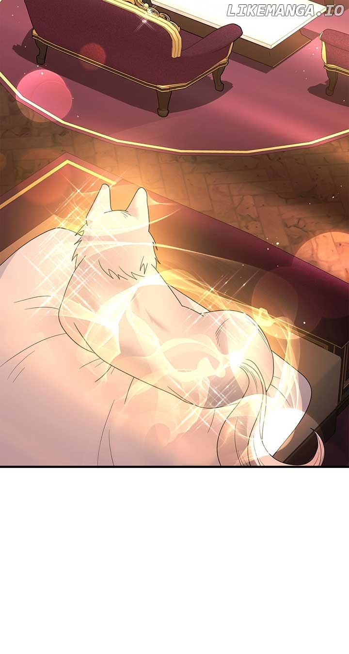 No, I Only Charmed the Princess! Chapter 23 - page 49