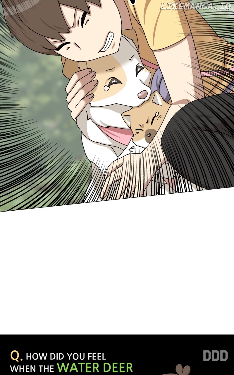 The Dog Diaries Chapter 167 - page 18